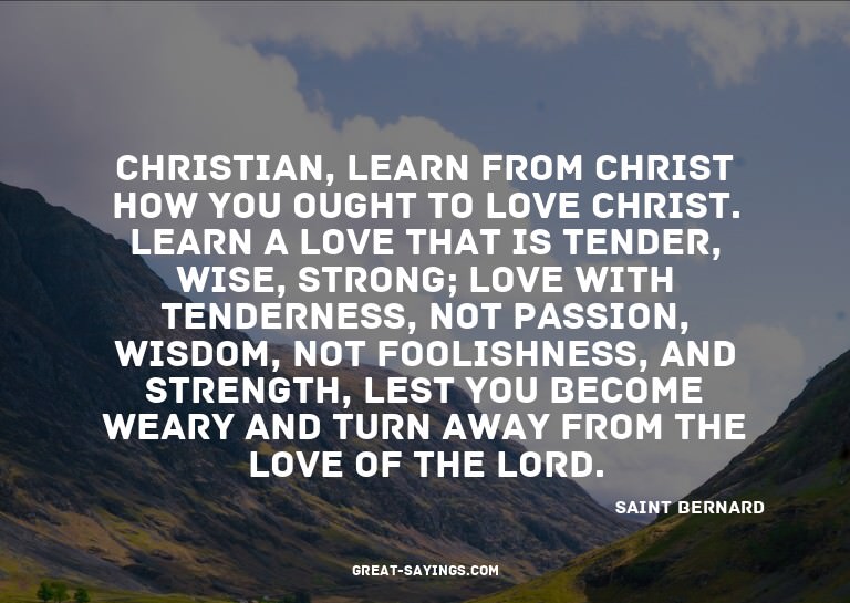 Christian, learn from Christ how you ought to love Chri