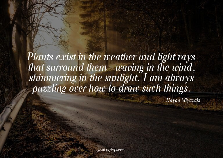 Plants exist in the weather and light rays that surroun