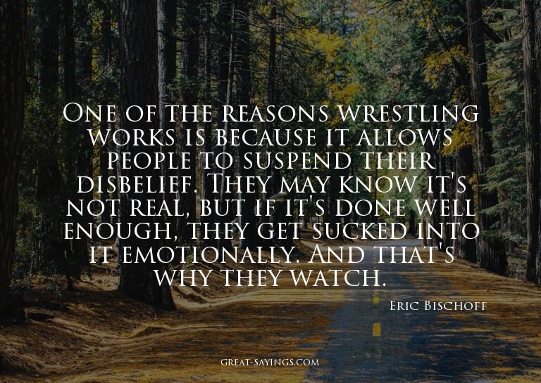 One of the reasons wrestling works is because it allows