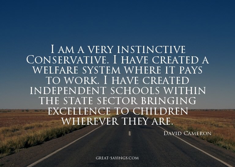 I am a very instinctive Conservative. I have created a