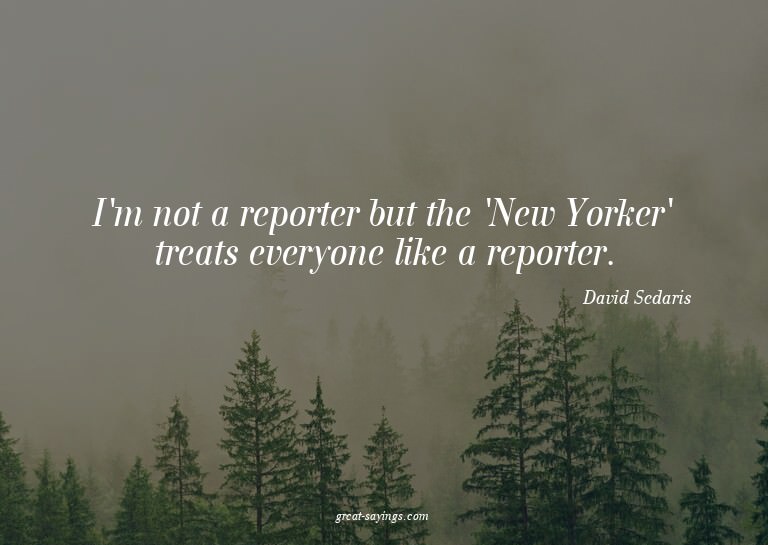 I'm not a reporter but the 'New Yorker' treats everyone