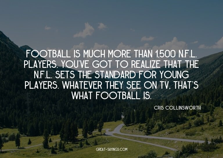 Football is much more than 1,500 N.F.L. players. You've