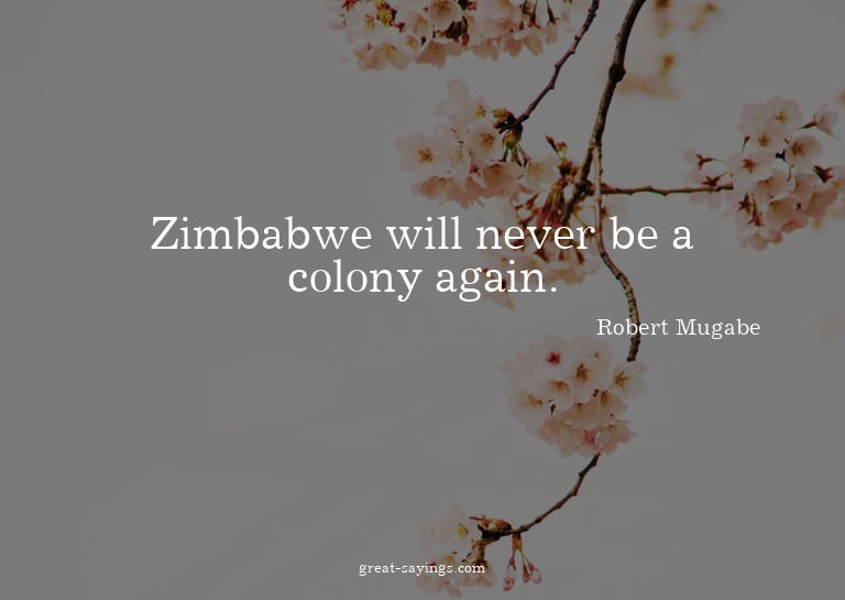 Zimbabwe will never be a colony again.

