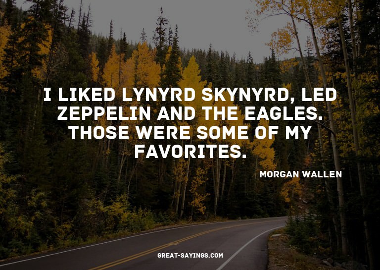 I liked Lynyrd Skynyrd, Led Zeppelin and the Eagles. Th