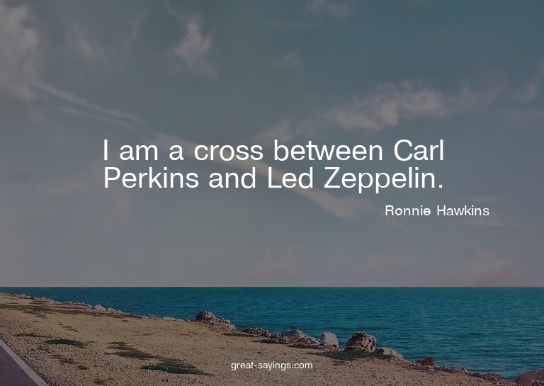 I am a cross between Carl Perkins and Led Zeppelin.

