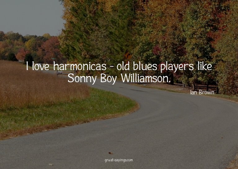 I love harmonicas - old blues players like Sonny Boy Wi
