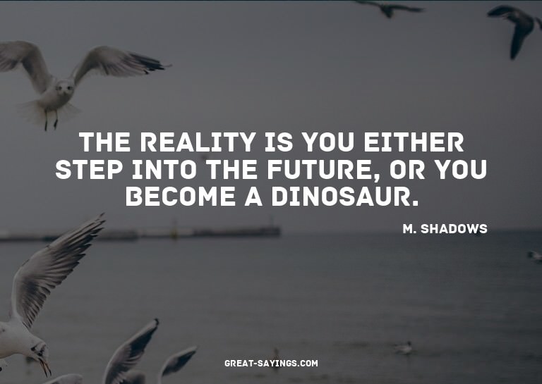 The reality is you either step into the future, or you