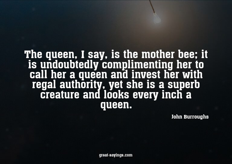 The queen, I say, is the mother bee; it is undoubtedly