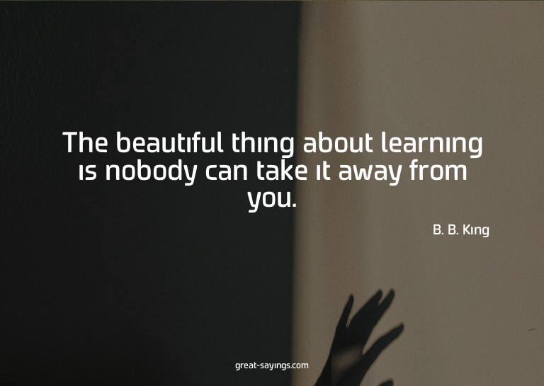 The beautiful thing about learning is nobody can take i
