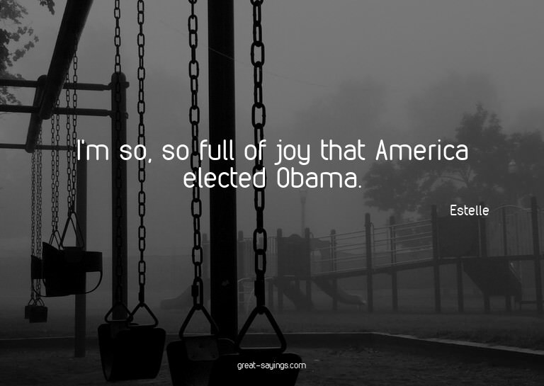I'm so, so full of joy that America elected Obama.

