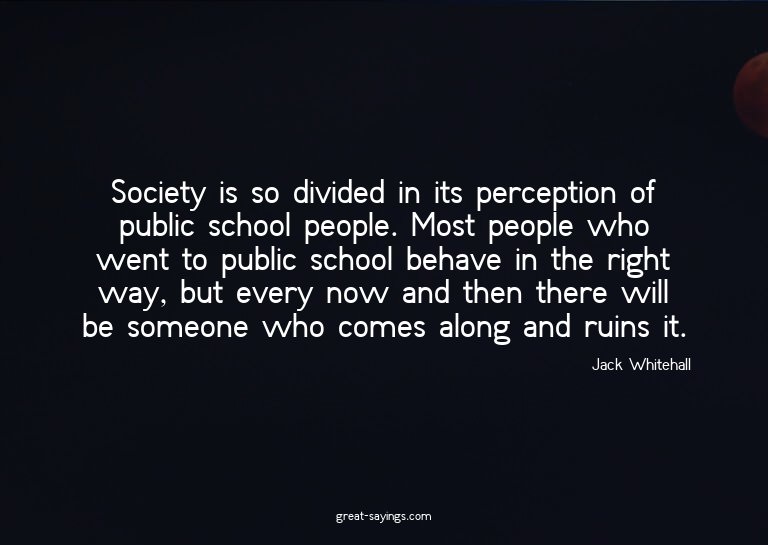 Society is so divided in its perception of public schoo
