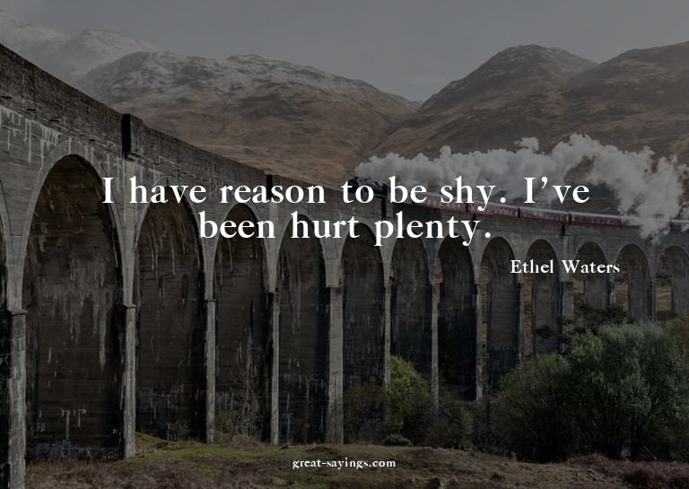 I have reason to be shy. I've been hurt plenty.

