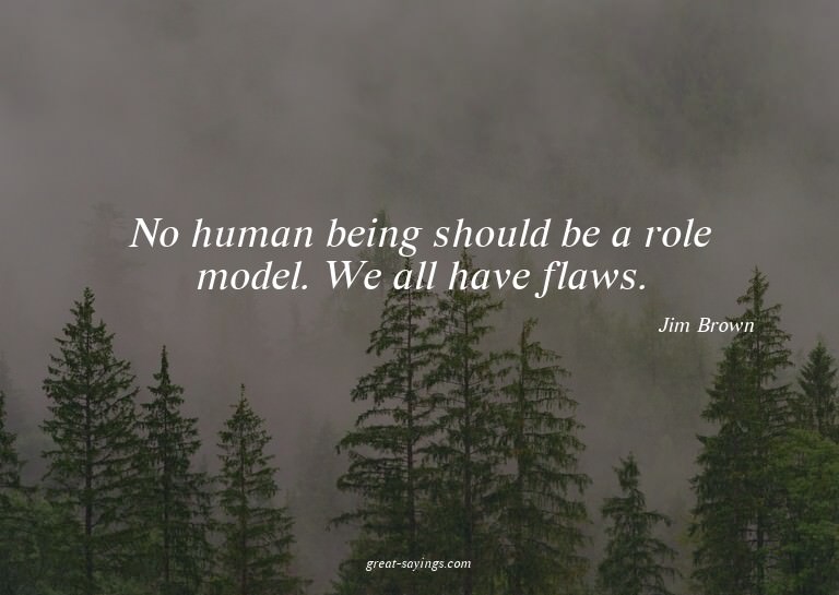 No human being should be a role model. We all have flaw