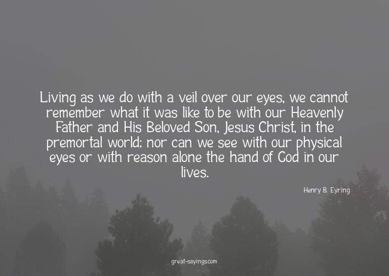 Living as we do with a veil over our eyes, we cannot re