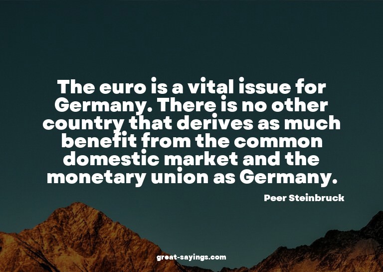 The euro is a vital issue for Germany. There is no othe