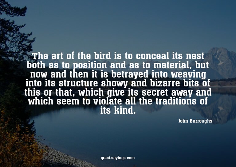 The art of the bird is to conceal its nest both as to p