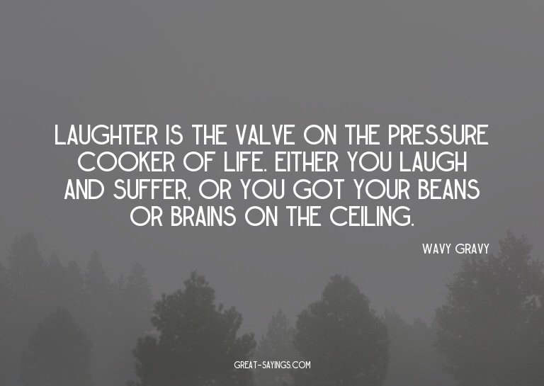 Laughter is the valve on the pressure cooker of life. E