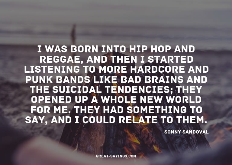 I was born into hip hop and reggae, and then I started