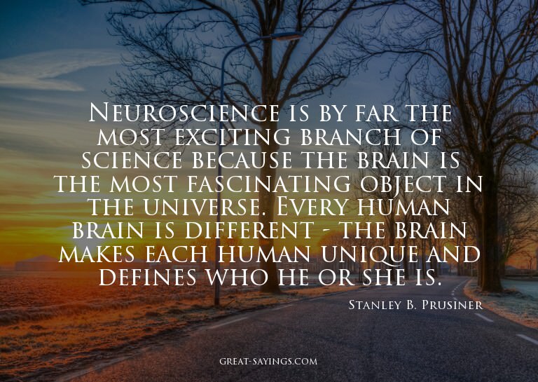 Neuroscience is by far the most exciting branch of scie