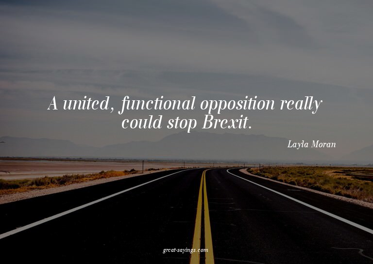 A united, functional opposition really could stop Brexi