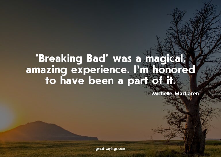 'Breaking Bad' was a magical, amazing experience. I'm h