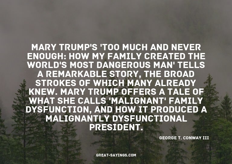 Mary Trump's 'Too Much and Never Enough: How My Family