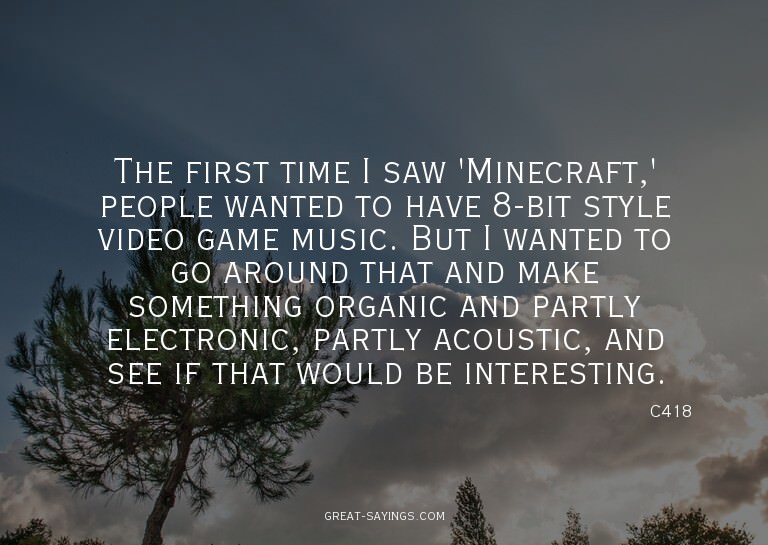 The first time I saw 'Minecraft,' people wanted to have