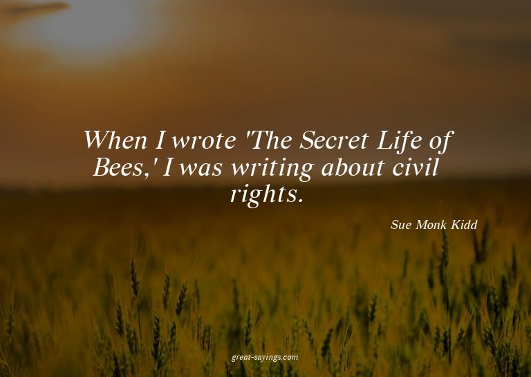 When I wrote 'The Secret Life of Bees,' I was writing a