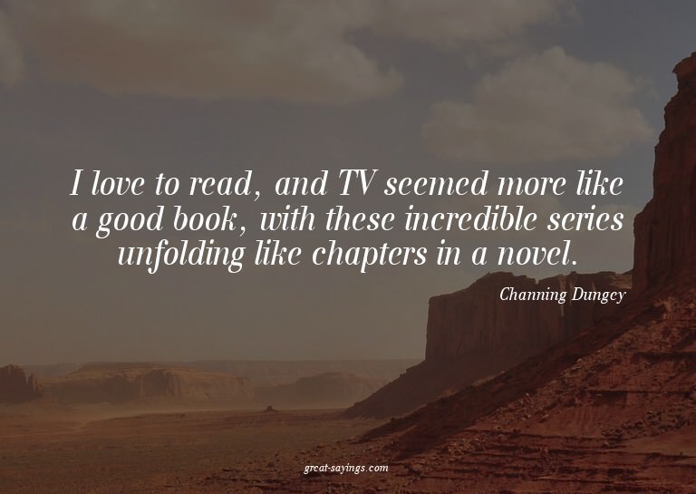 I love to read, and TV seemed more like a good book, wi