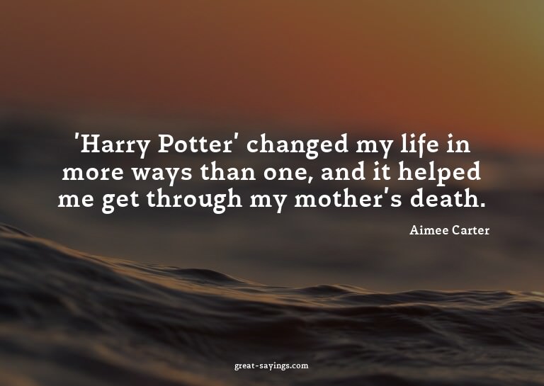'Harry Potter' changed my life in more ways than one, a