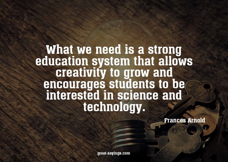 What we need is a strong education system that allows c