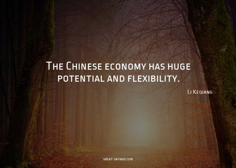 The Chinese economy has huge potential and flexibility.