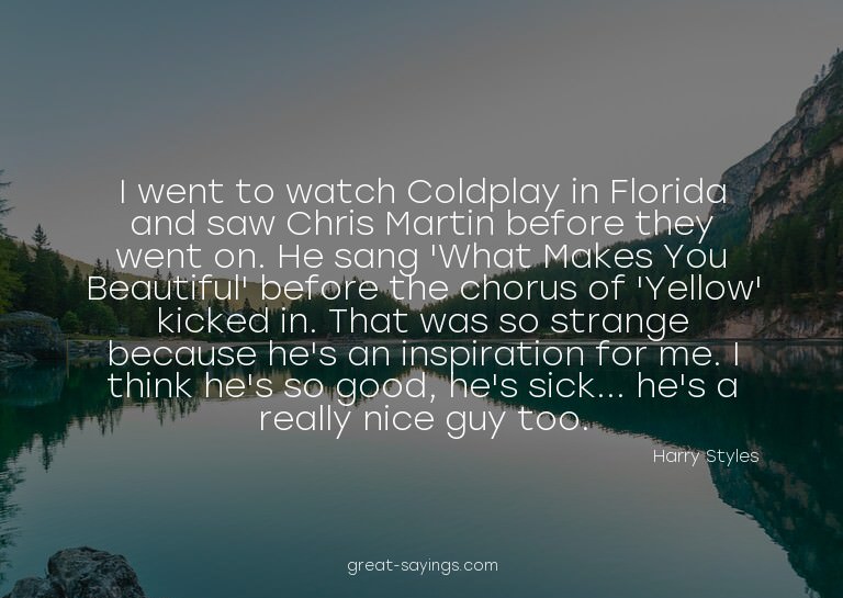 I went to watch Coldplay in Florida and saw Chris Marti