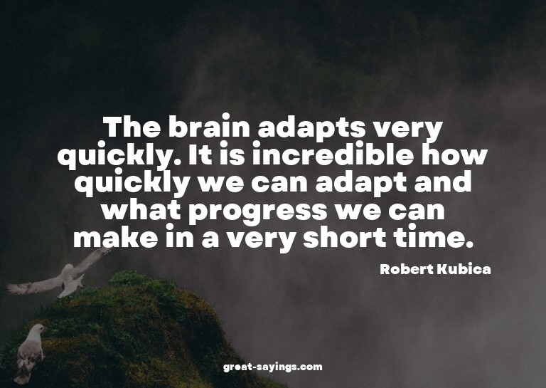 The brain adapts very quickly. It is incredible how qui