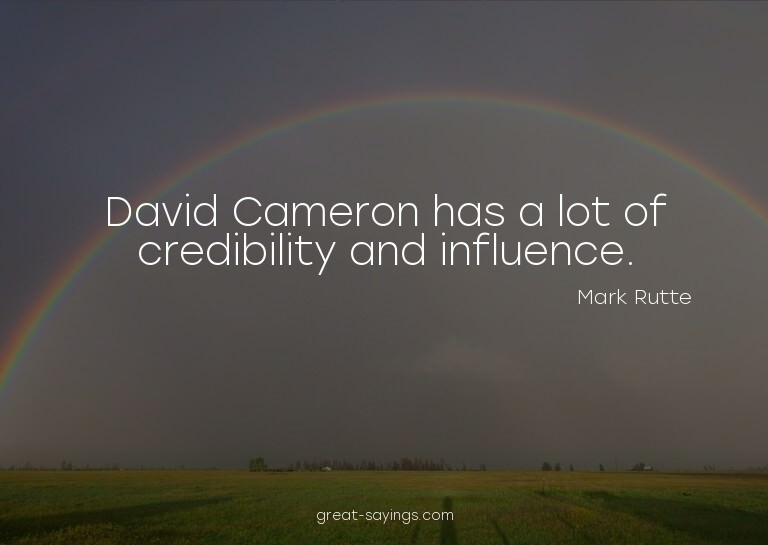 David Cameron has a lot of credibility and influence.


