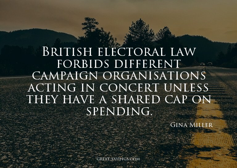British electoral law forbids different campaign organi