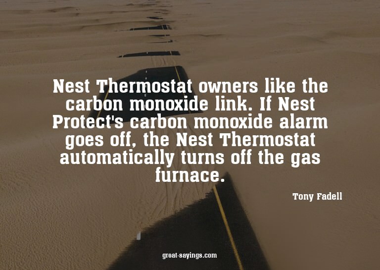 Nest Thermostat owners like the carbon monoxide link. I