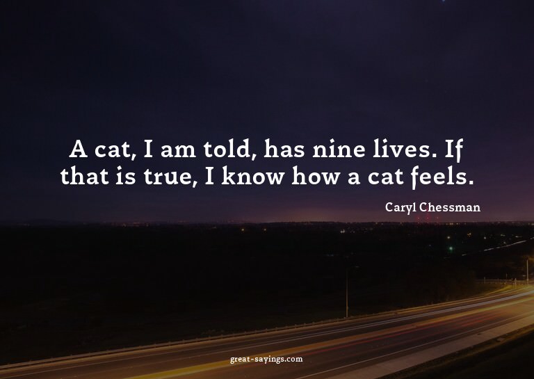 A cat, I am told, has nine lives. If that is true, I kn