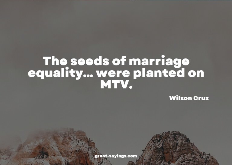The seeds of marriage equality... were planted on MTV.

