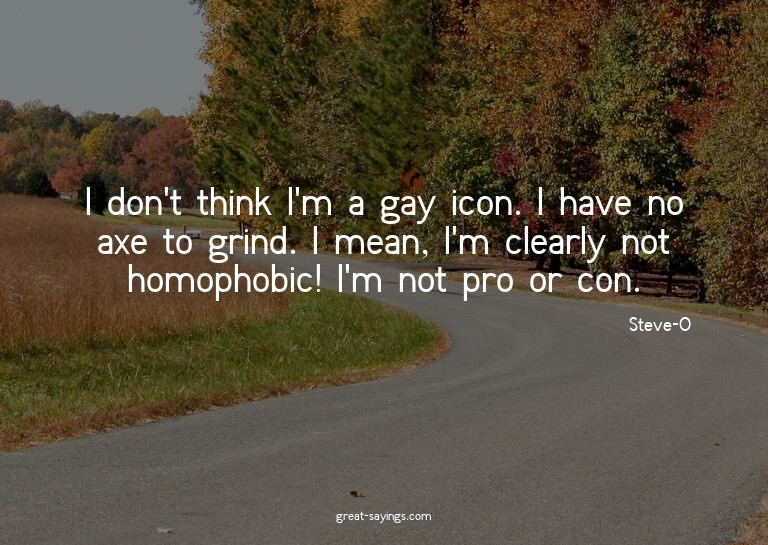 I don't think I'm a gay icon. I have no axe to grind. I