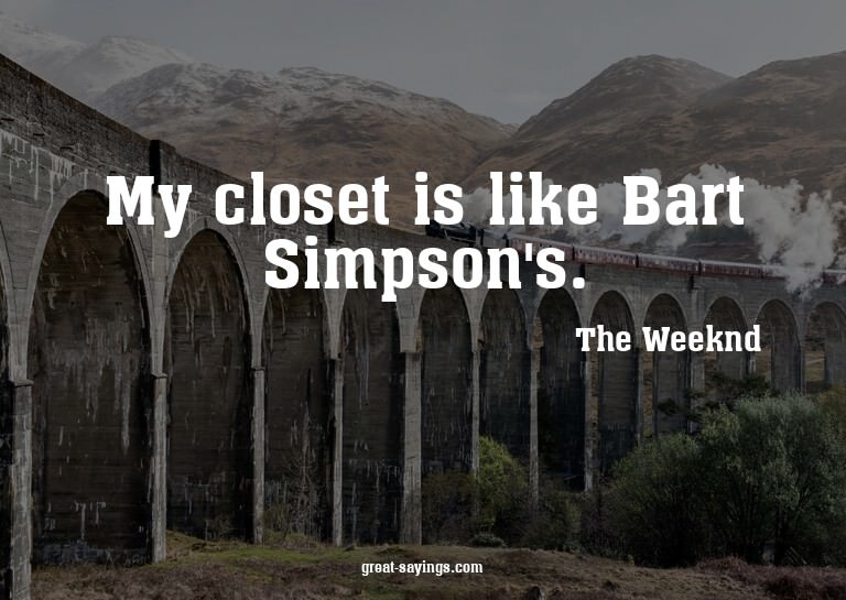 My closet is like Bart Simpson's.


