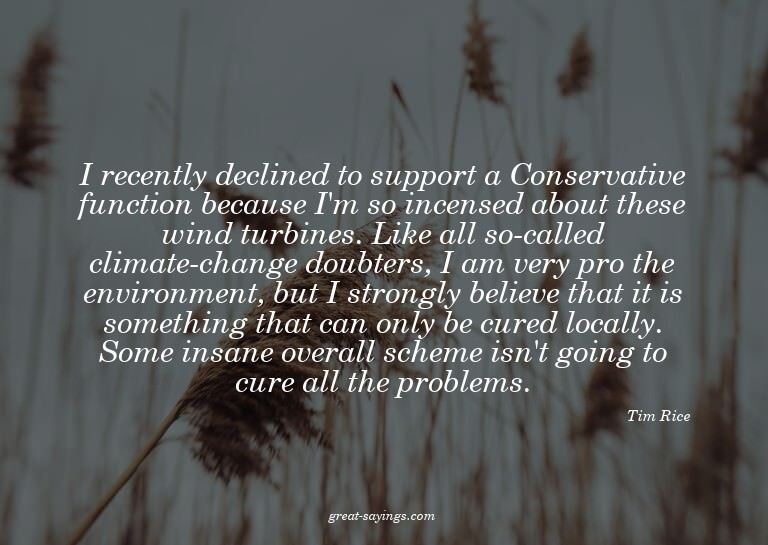 I recently declined to support a Conservative function