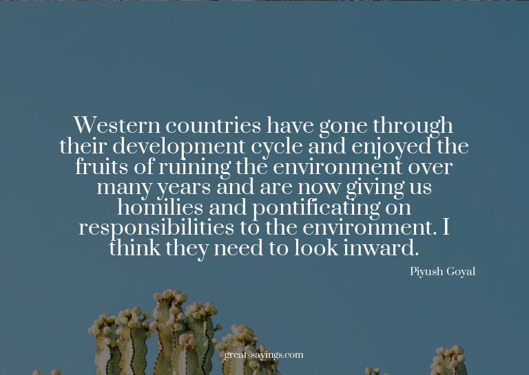 Western countries have gone through their development c