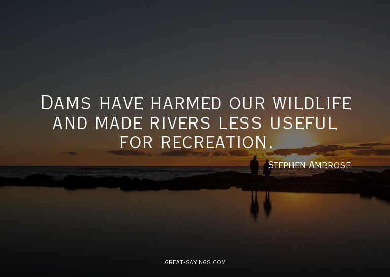 Dams have harmed our wildlife and made rivers less usef