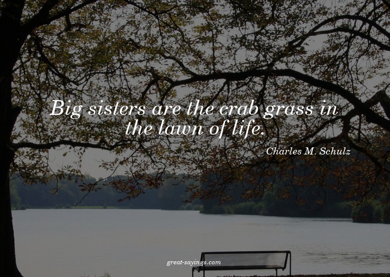 Big sisters are the crab grass in the lawn of life.

