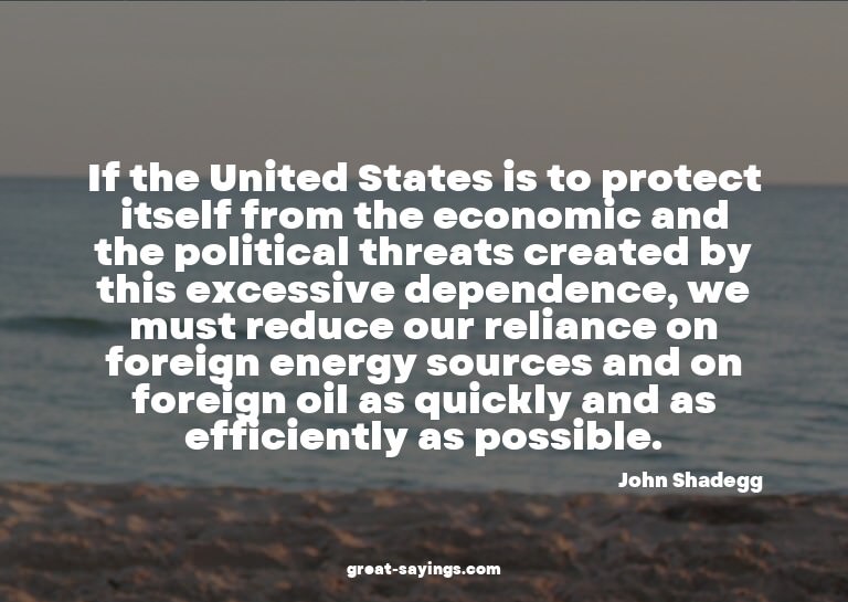 If the United States is to protect itself from the econ