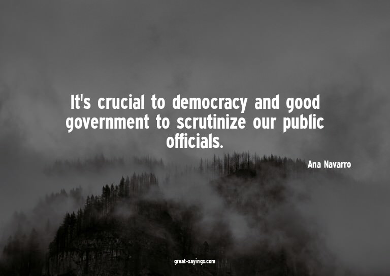 It's crucial to democracy and good government to scruti