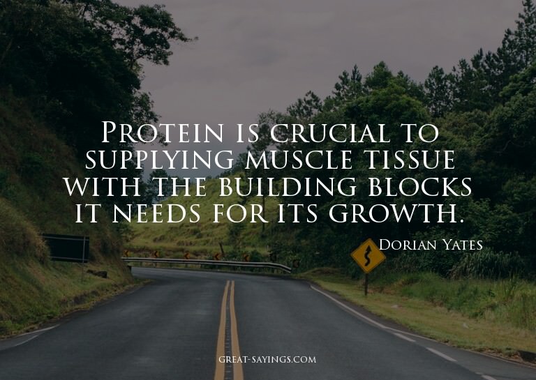 Protein is crucial to supplying muscle tissue with the