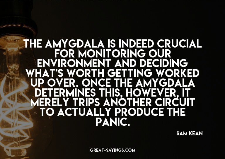 The amygdala is indeed crucial for monitoring our envir