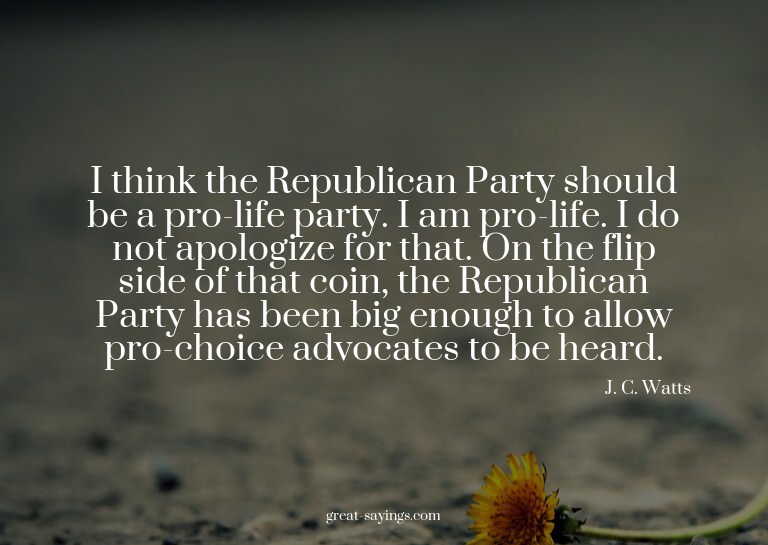 I think the Republican Party should be a pro-life party